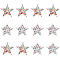12Pcs 2 Style Star Shape Hotfix Rhinestone, Plastic & Resin Rhinestone Appliques, Costume Accessories, Sewing Craft Decoration, Mixed Color, 78~79x80~81.5x2.5~3.5mm, 6pcs/style
