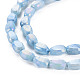 Mèches de perles de verre craquelé peintes au four opaque EGLA-S174-21D-3