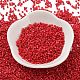 Baking Paint Glass Seed Beads SEED-S042-05B-91-2