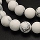 Frosted Round Howlite Beads Strands G-N0166-72-10mm-2
