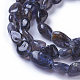 Natural Iolite Beads Strands G-P433-13-3