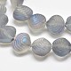 Galvanoplastie dépoli perles de coquillage de fils de verre X-EGLA-M002-B03-1
