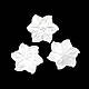 天然石シェルカボション  花  ホワイト  40.8x3mm SHEL-K008-02-1
