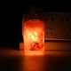 Lampe au sel gemme naturelle de l'himalaya DJEW-P002-02G-1