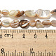 Natural Seashell Beads Strands SSHEL-H072-14-4