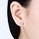 Exquisite 925 Sterling Silver Cubic Zirconia Stud Earrings EJEW-BB20060-2