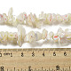 Brins de perles de coquillages naturels de troca SSHEL-H072-04-4