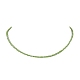 キラキラ輝くガラスビーズのネックレス  ミックスカラー  13.62インチ（34.6cm） NJEW-JN04489-4