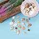 CHGCRAFT 1box about 500g Mixed Ocean Sea Shells Natural Seashells Spiral Shell Beads for Fish Tank Home Decor Beach Theme Party Candle Making Wedding Decor IY Crafts BSHE-PH0003-03-5