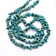 Synthetic Turquoise Beads Strands G-O049-A-02-3