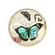 Schmetterling bedrucktes Glas halbrund / Kuppel Cabochons X-GGLA-N004-12mm-C-2