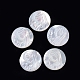 Cabuchones de conchas blancas naturales SSHEL-D083-08-1