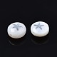 Perles de coquillages naturels d'eau douce SHEL-N003-22-12P-3