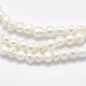 Natural Cultured Freshwater Pearl Beads Strands PEAR-F007-59-3