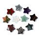 Natural Mixed Stone Star Shaped Worry Stones G-T132-002A-1
