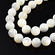 Fili di perline di conchiglia bianco naturale SSHEL-N003-144H-01-3