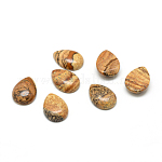 Natural Picture Jasper Gemstone Cabochons, teardrop, 25x18x6mm