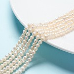 Brins de perles de culture d'eau douce naturelles, bien pour la fabrication de bijoux pour la fête des mères, pomme de terre, blanc, 5~6mm, Trou: 0.8mm, Environ 55 pcs/chapelet, 13.78 pouce (35 cm)