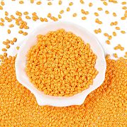 Выпечка краска стеклянные бусины SEED-T006-03N