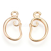 Brass Earring Hooks KK-I649-05G-NF