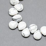 Естественно Howlite драгоценный бисер пряди G-T005-17