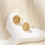 Латунь серьги EJEW-Q014-32G