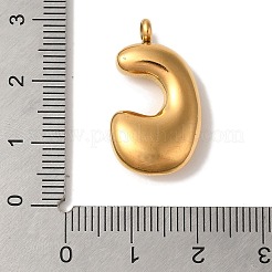 Ionenplattierung (IP) 304 Edelstahlanhänger&nbsp;STAS-M017-08G-03