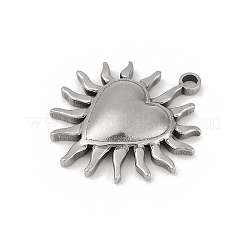 Pendentifs en acier inoxydable 304&nbsp;STAS-D366-01K-P