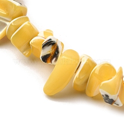 Chapelets de perles de coquille de trochid / trochus coquille&nbsp;SHEL-B003-02H