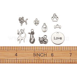 Tibetische Stil Anhänger & Charms&nbsp;TIBEP-TA0002-19