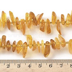Perles d'ambre naturel brins&nbsp;G-L095-D01-03