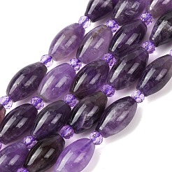 Natürlichen Amethyst Perlen Stränge&nbsp;G-G453-C02-8x13mm