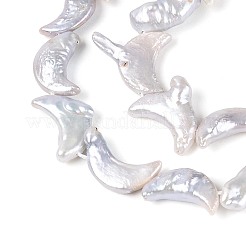 Perles de perles de keshi baroques naturelles&nbsp;PEAR-N020-P06-01B