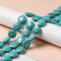 Fili di perline howlite naturale&nbsp;G-C025-07B