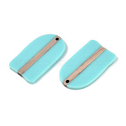 Colgantes de resina opaca y madera&nbsp;RESI-T057-48A