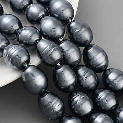 Fili di perle di conchiglie galvanizzate&nbsp;BSHE-H110-01-02