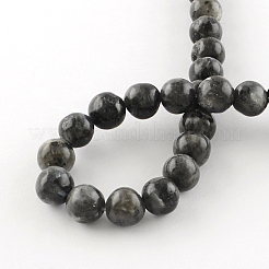 Fili di perline rotonde di larvikite naturale&nbsp;LS-G-R342-10mm-09