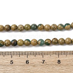Natürliche grüne Drachenadern-Perlenstränge&nbsp;G-D098-A01-4mm