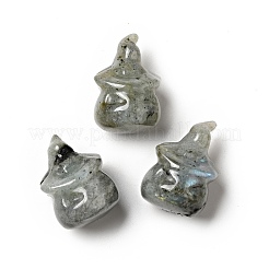 Decoraciones de la exhibición casera del labradorite natural&nbsp;DJEW-F018-01A