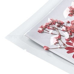 Gepresste Trockenblumen&nbsp;DIY-F076-01C