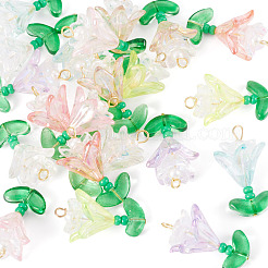 Transparentem Acrylblumenanhänger&nbsp;PALLOY-TADJ00011