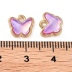 Rack-Plating-Legierungsglas-Charms&nbsp;FIND-Q099-07G