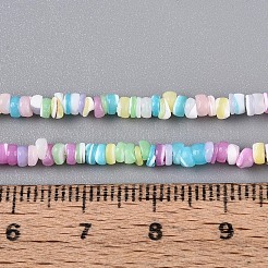 Natürliche Trochidschale / Trochusschalenperlenstränge&nbsp;SSHEL-N040-21A
