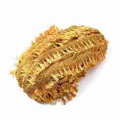 Ruban de dentelle de gland ondulé en polyester en filigrane&nbsp;OCOR-WH0080-19