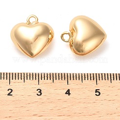 Messing Anhänger & Charms&nbsp;KK-F870-03G-01