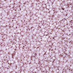 Miyuki Delica Perlen&nbsp;X-SEED-J020-DB0624