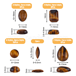 32 Stück 12 Stile natürliche Tigerauge Cabochons&nbsp;G-FH0002-20