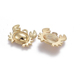 Aluminium Anhänger & Charms&nbsp;TIBEP-A040-040G-NR