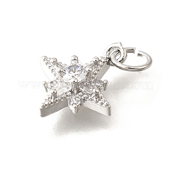 Pendentifs avec zircon cubiques à micro-pavés en laiton&nbsp;LS-KK-V008-09P