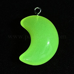Pendentifs en résine transparents et lumineux qui brillent dans le noir&nbsp;RESI-WH0038-27B-03